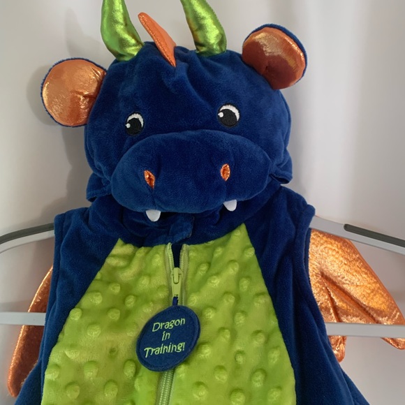 Other - 12 month old dragon costume with hood. Halloween